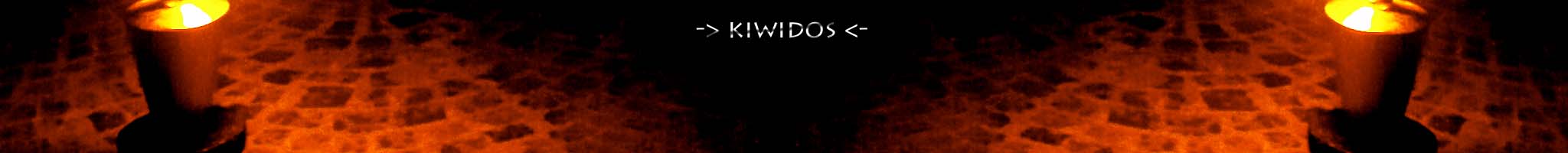 kiwidoworkshop